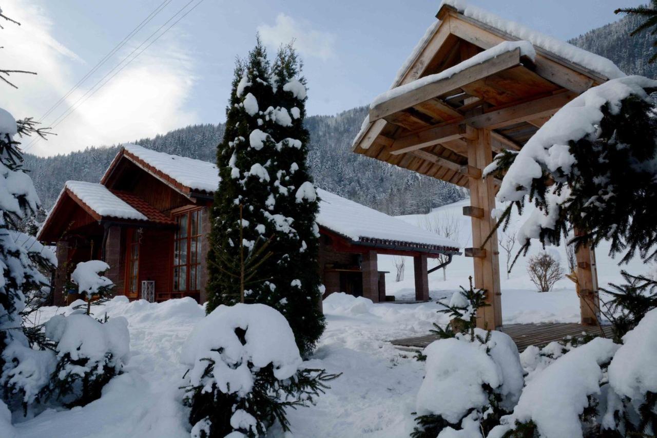 Studio Alpika Luče Exterior foto