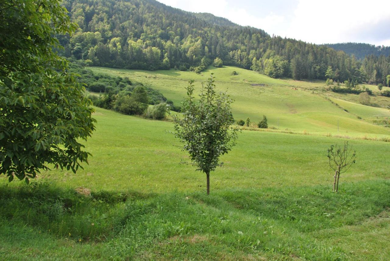 Studio Alpika Luče Exterior foto